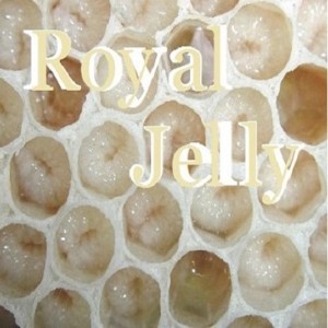 royal jelly cd cover